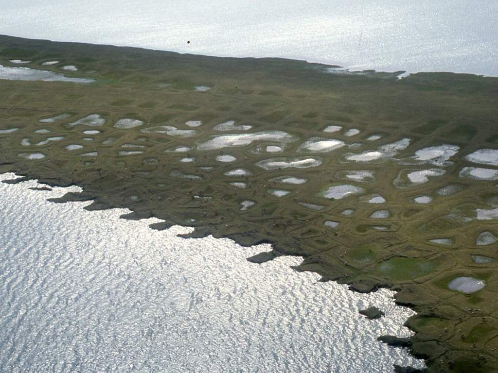 BLM Percepat Izin Minyak di Cadangan Perminyakan Alaska