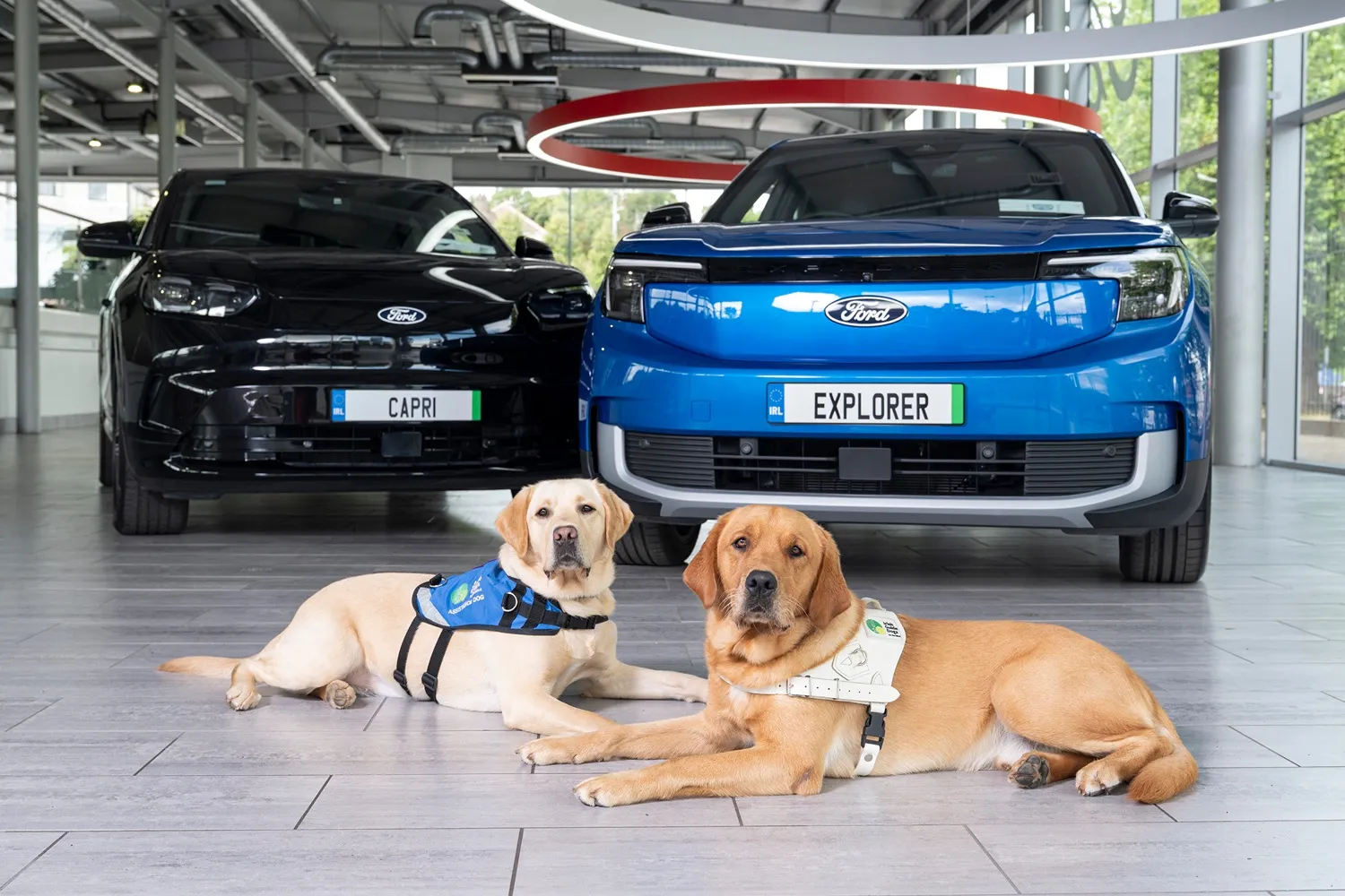 Ford Ireland launches charity test drive campaign to support Irish Guide Dogs nationwide