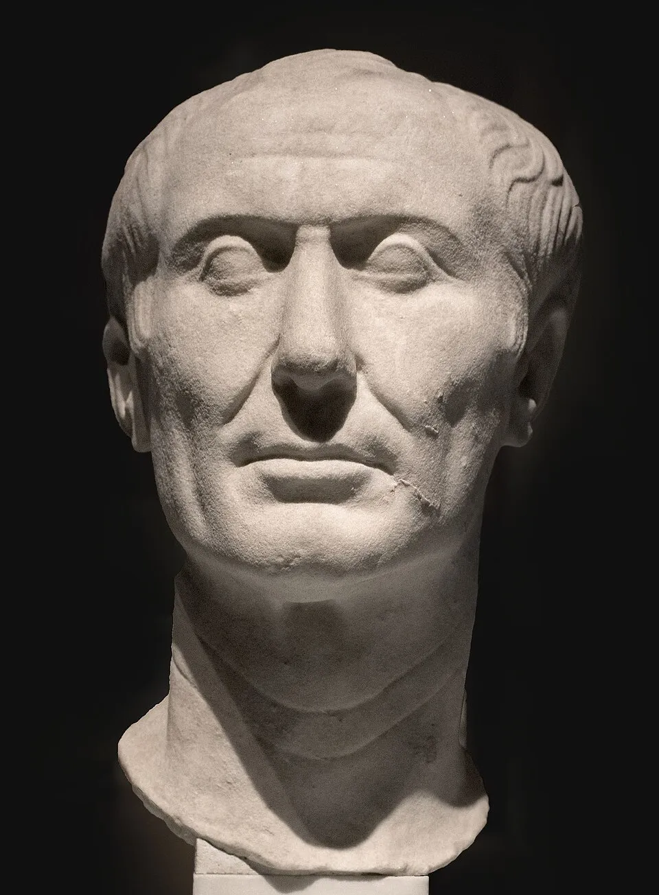 Julius Caesar profile and legacy in the Roman Republic and Empire