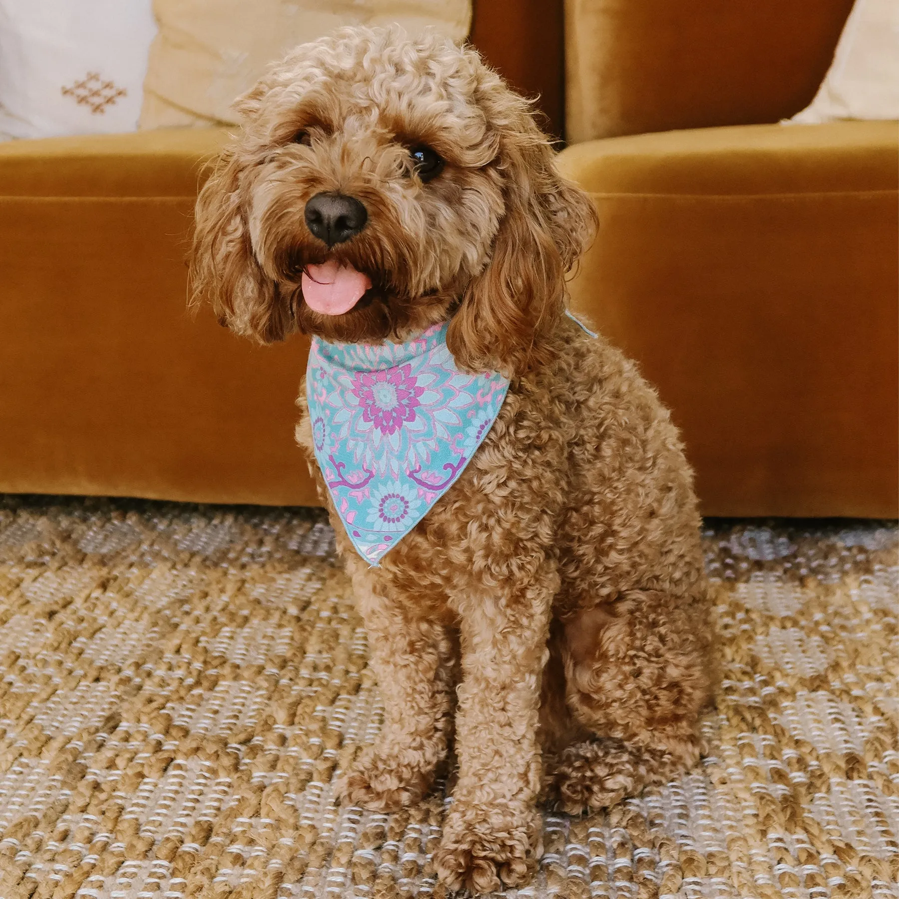 Lovers Beach Dog Bandana Medium Joy368 dengan desain motif bohemian eksklusif